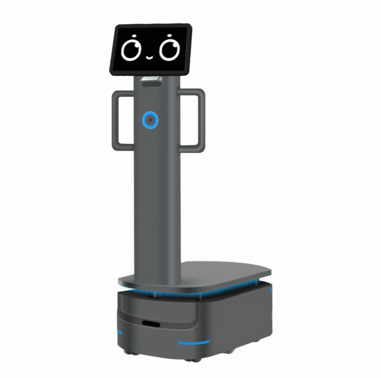 Robot de carga útil pesada para entrega industrial